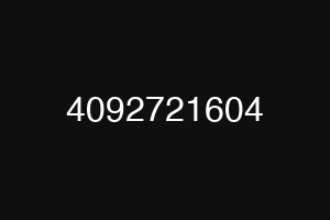 4092721604