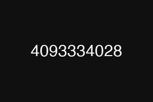 4093334028