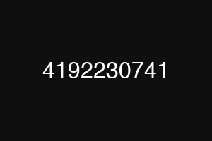 4192230741