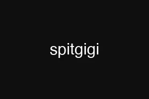 spitgigi